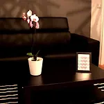 Yhome | Barletta Home Apartment